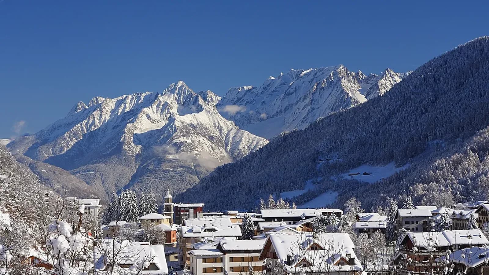 Aprica