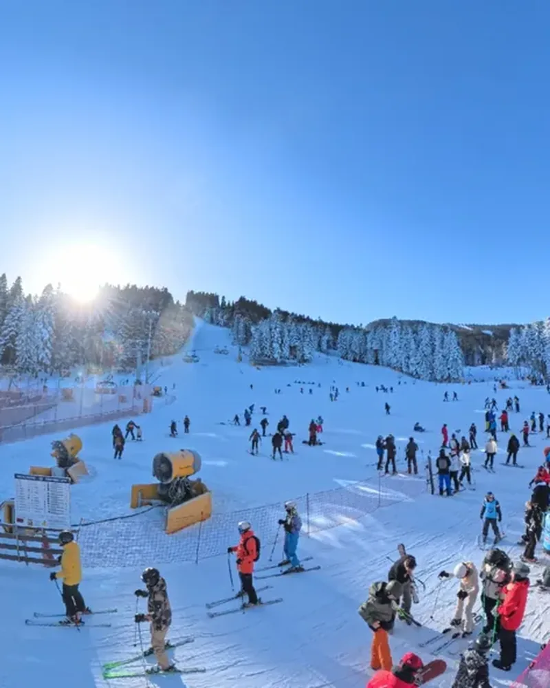 Borovets