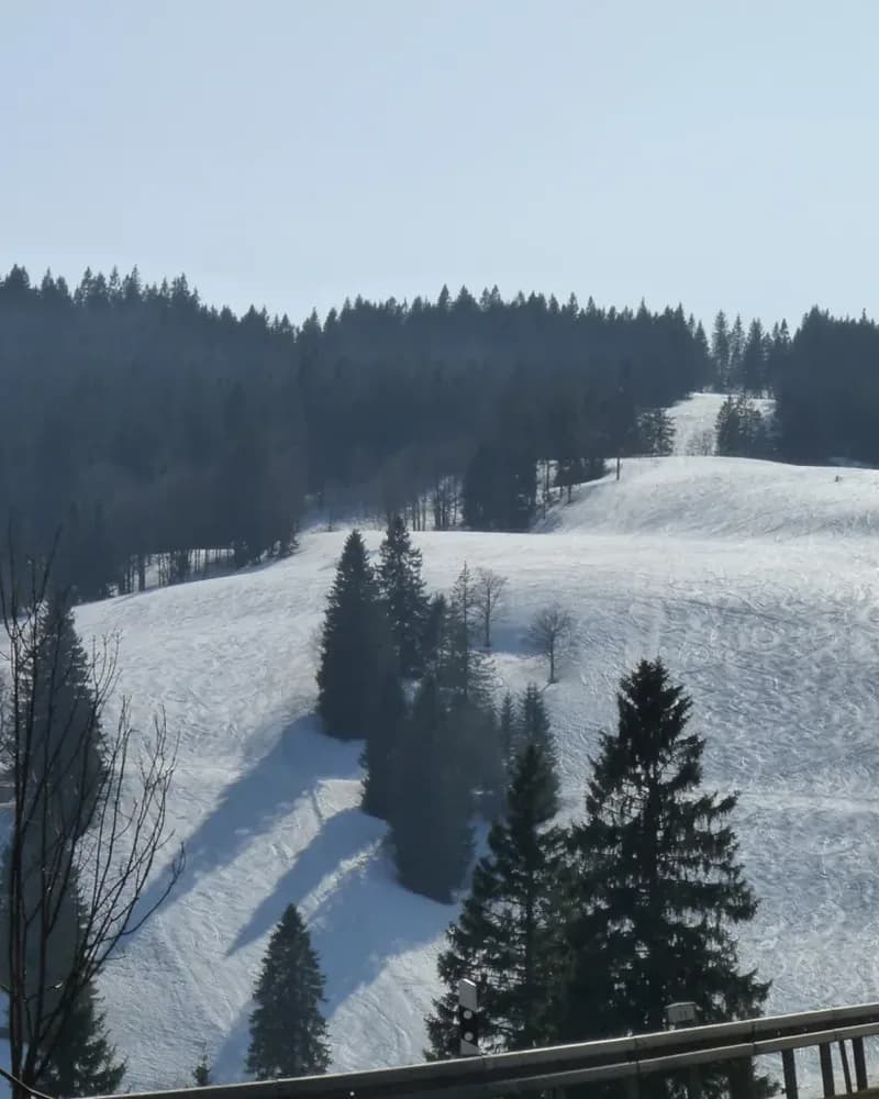 Feldberg