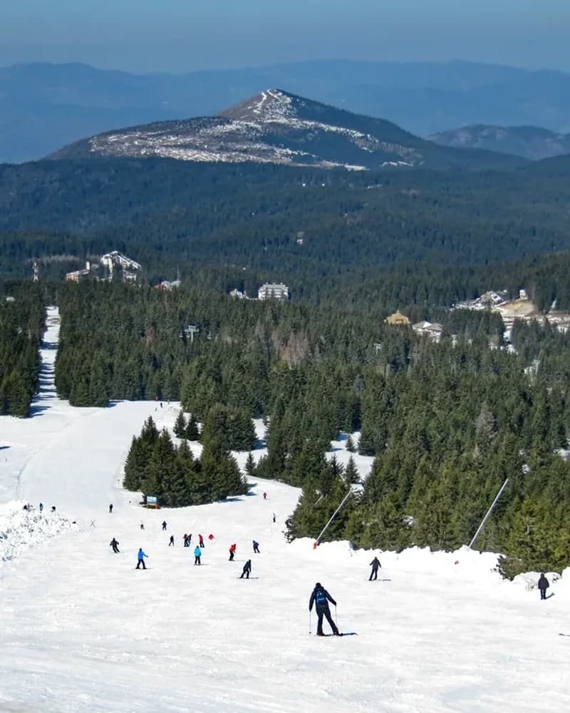 Kopaonik