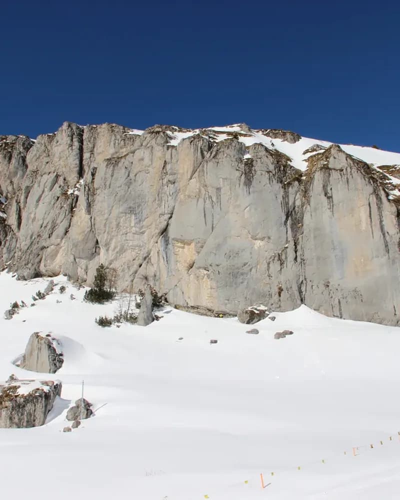 Leysin