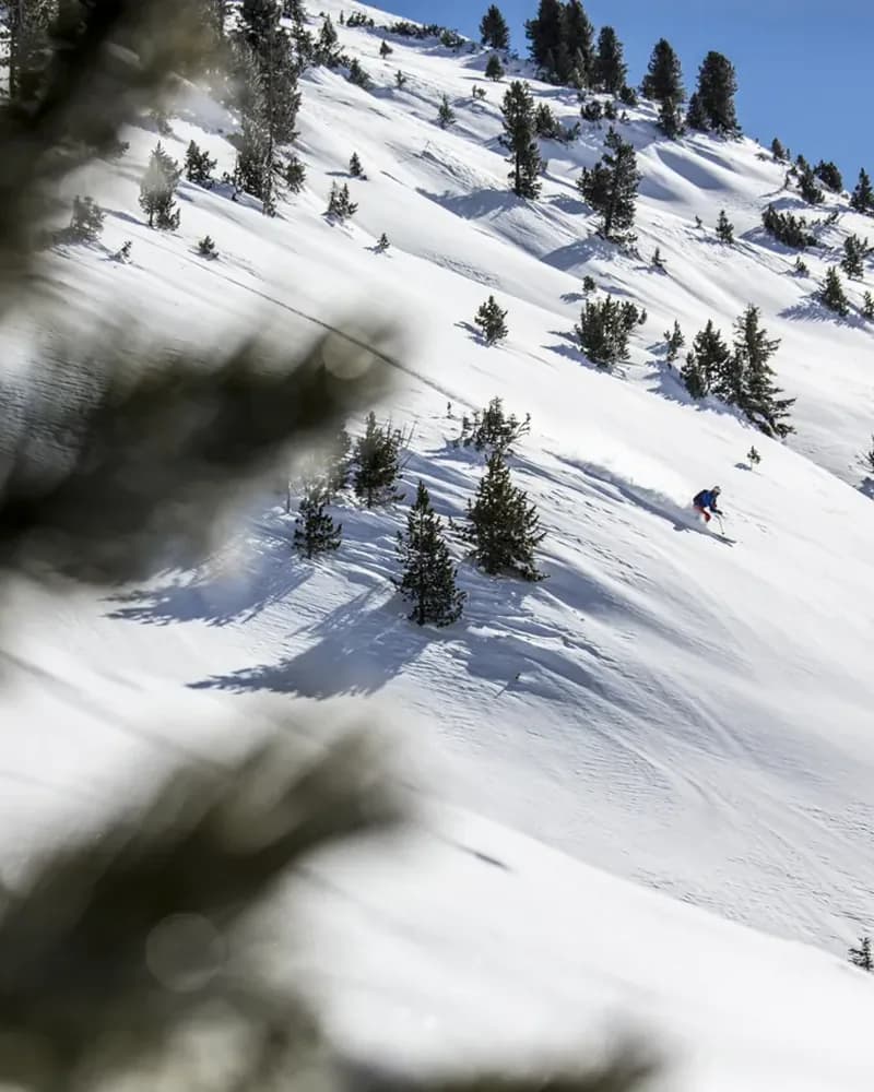 Wildkogel-Arena